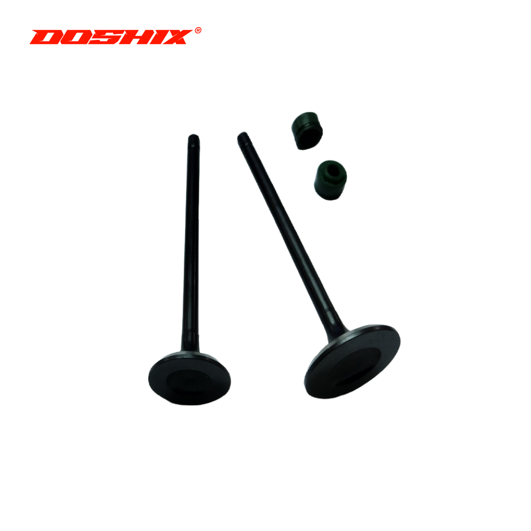 ENGINE VALVE SET